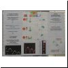FP-gravita1.html